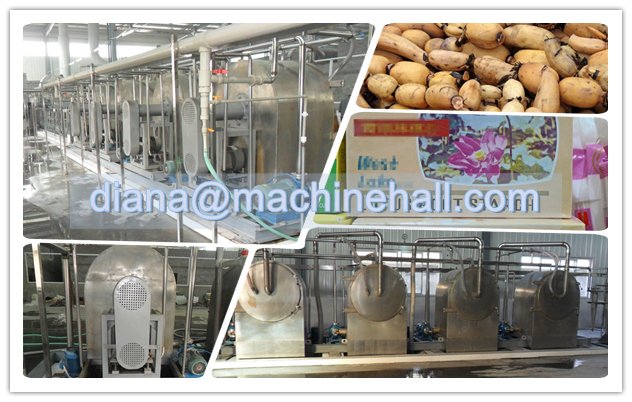 Lotus Starch Processing Machine