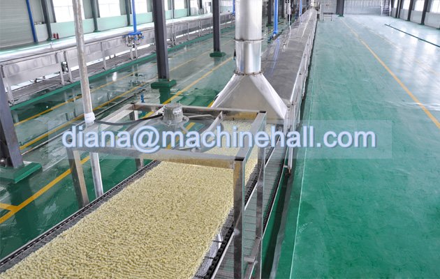 Fried Instant Noodles Processing Line