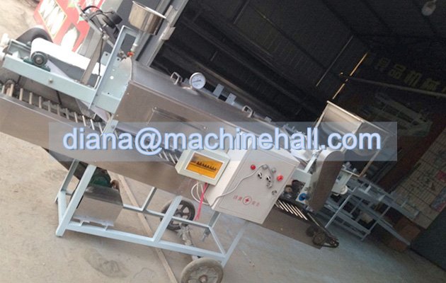 Rice Noodles Making Machine